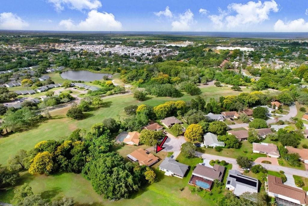 12600 Castleberry Court, Bayonet Point, FL 34667 Photo