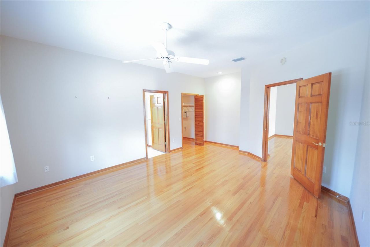 2784 Alexander Drive, Clearwater, FL 33763 Photo