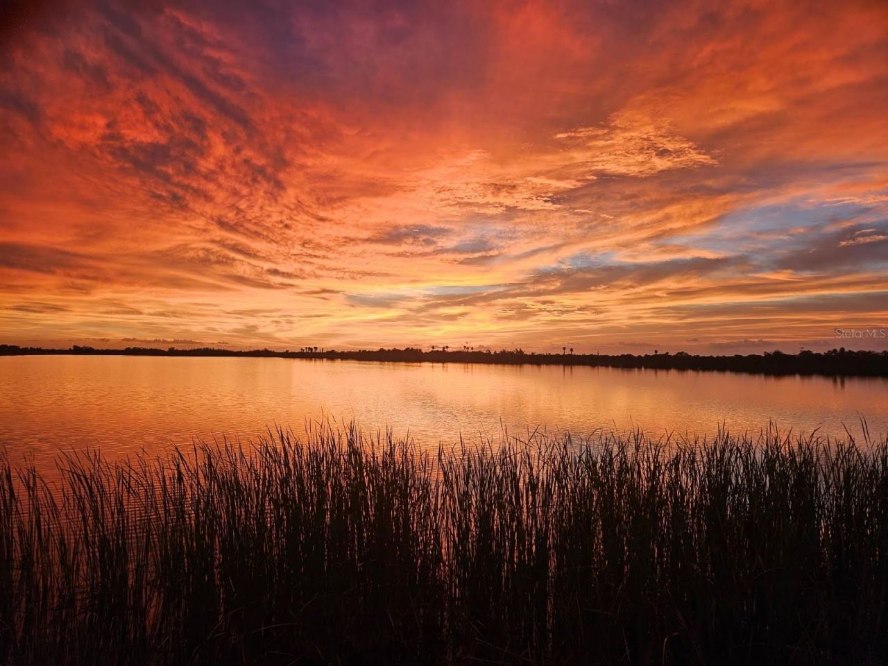 3215 Gulf City Road, Ruskin, FL 33570 Photo