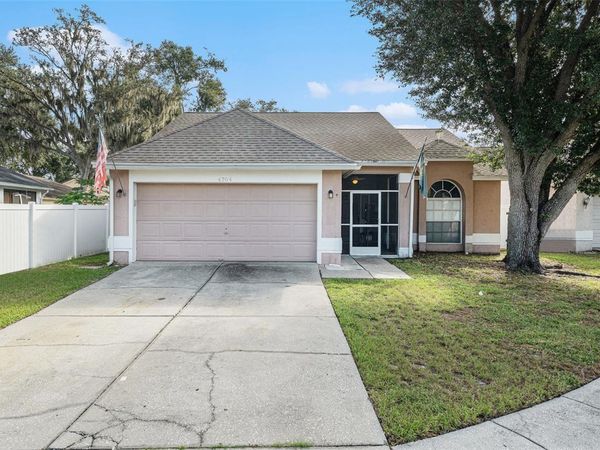 4704 STOVE PLACE, VALRICO, FL 33596