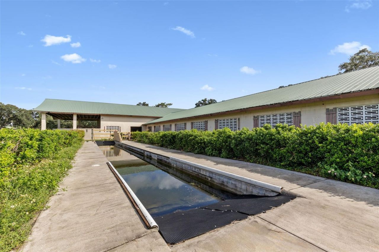 551 NE 200 Avenue, Williston, FL 32696 Photo