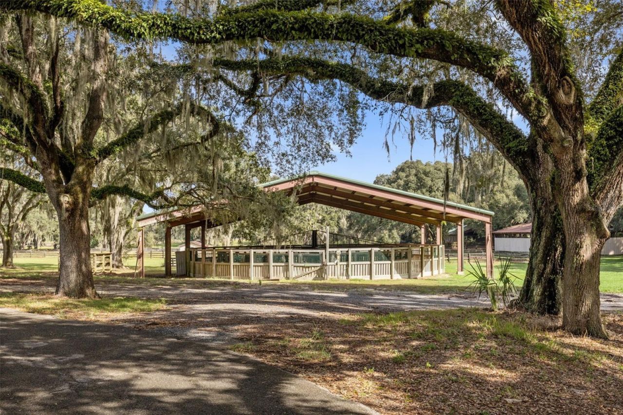 551 NE 200 Avenue, Williston, FL 32696 Photo