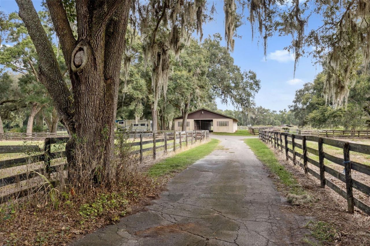 551 NE 200 Avenue, Williston, FL 32696 Photo