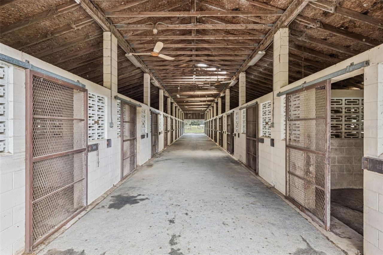 551 NE 200 Avenue, Williston, FL 32696 Photo