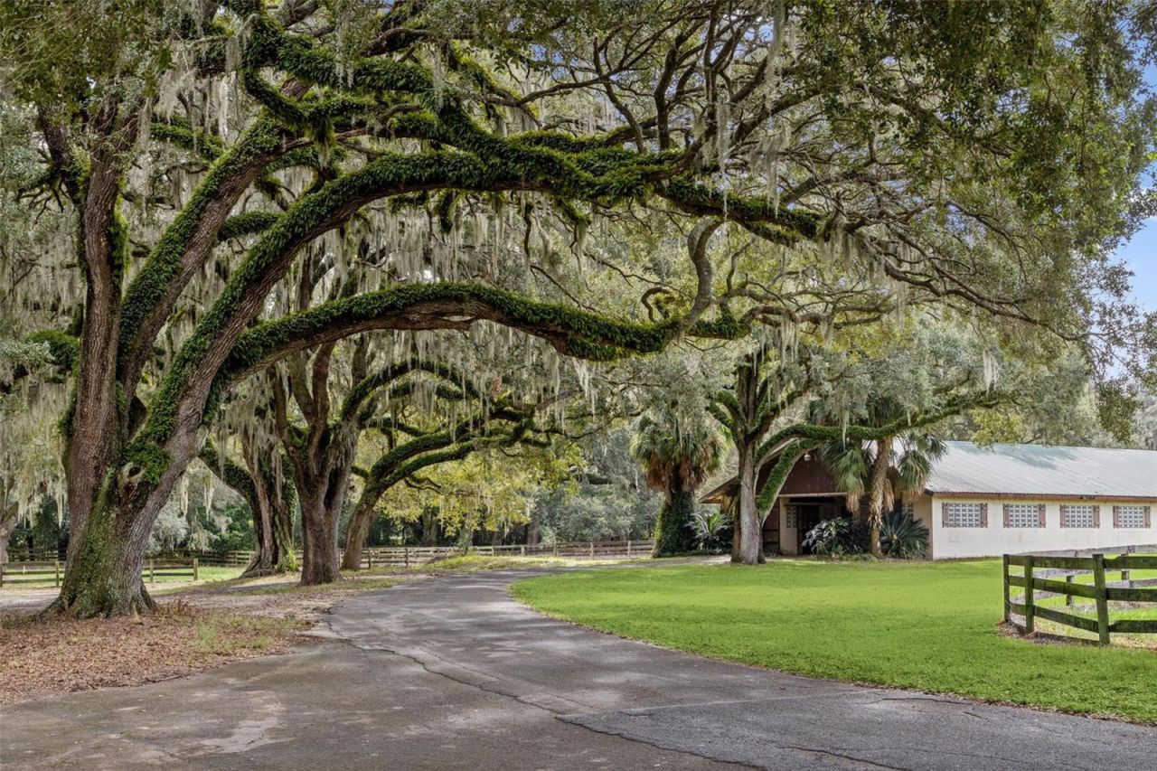 551 NE 200 Avenue, Williston, FL 32696 Photo