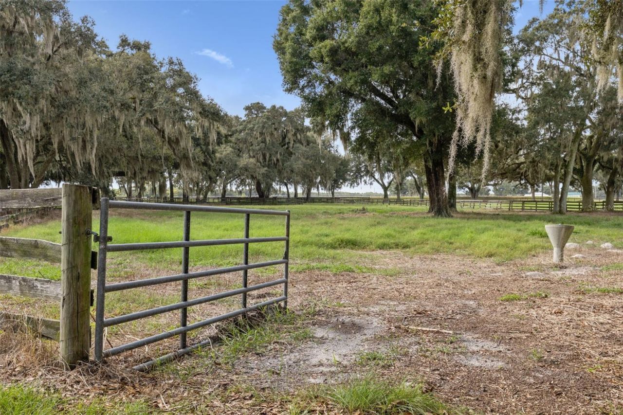 551 NE 200 Avenue, Williston, FL 32696 Photo