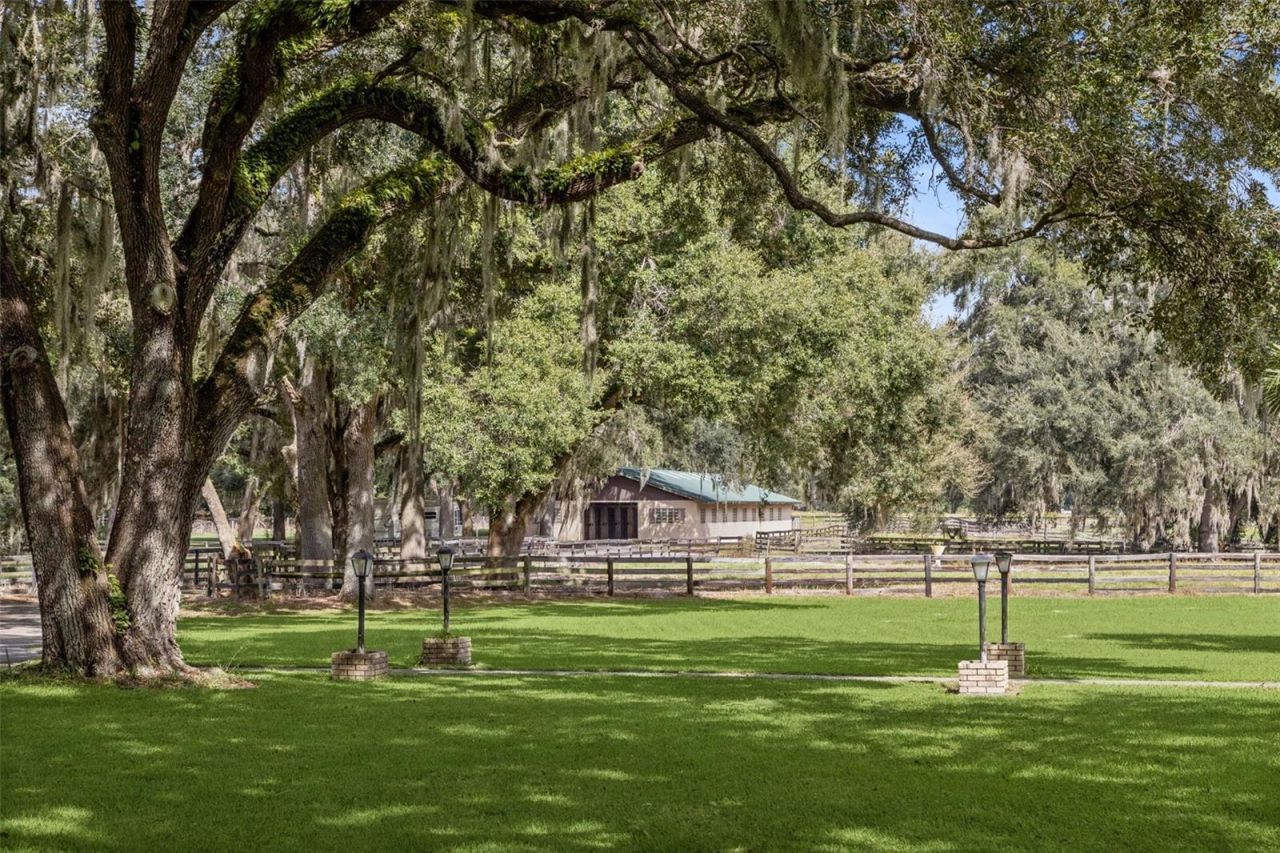 551 NE 200 Avenue, Williston, FL 32696 Photo