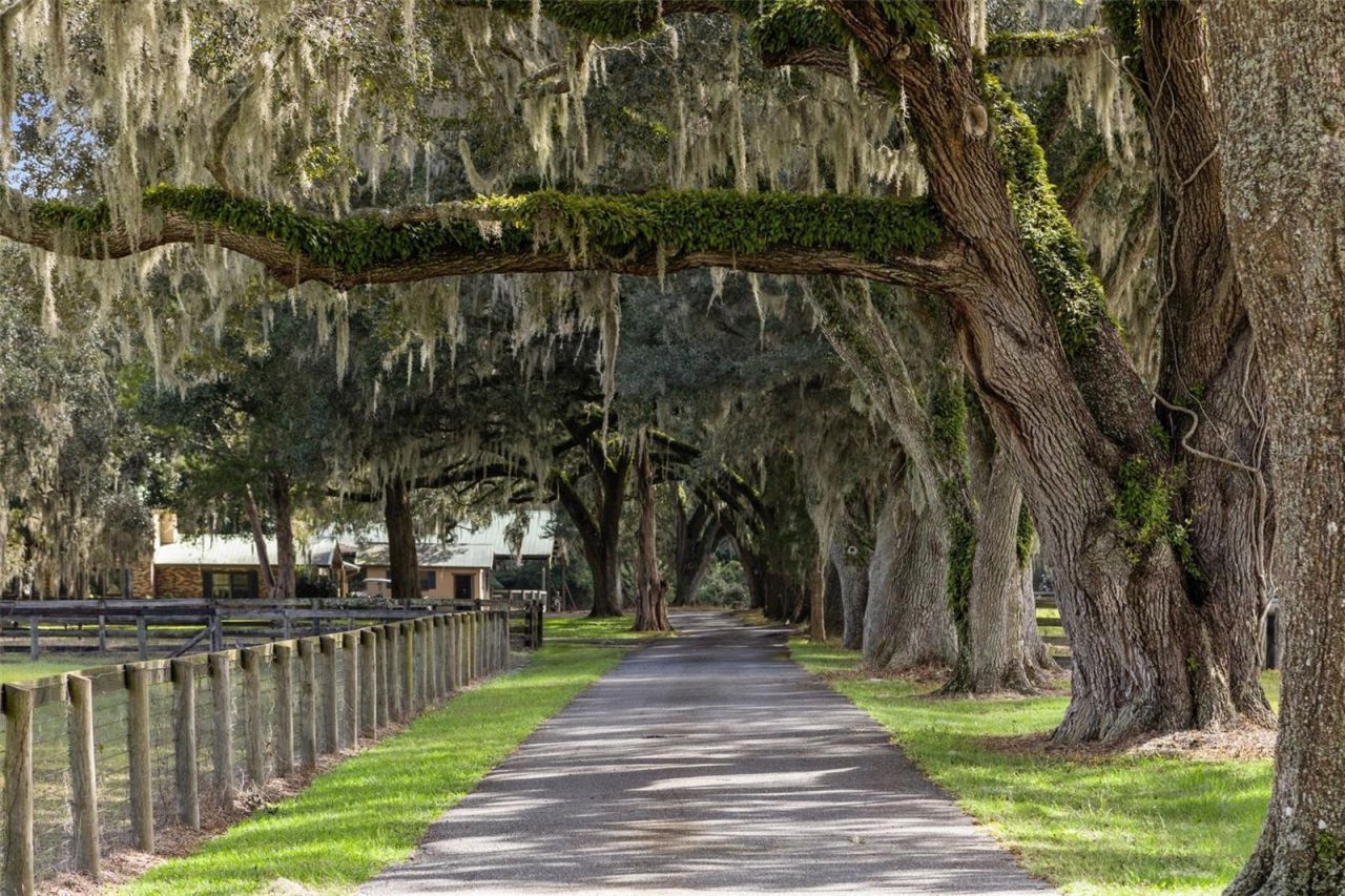 551 NE 200 Avenue, Williston, FL 32696 Photo