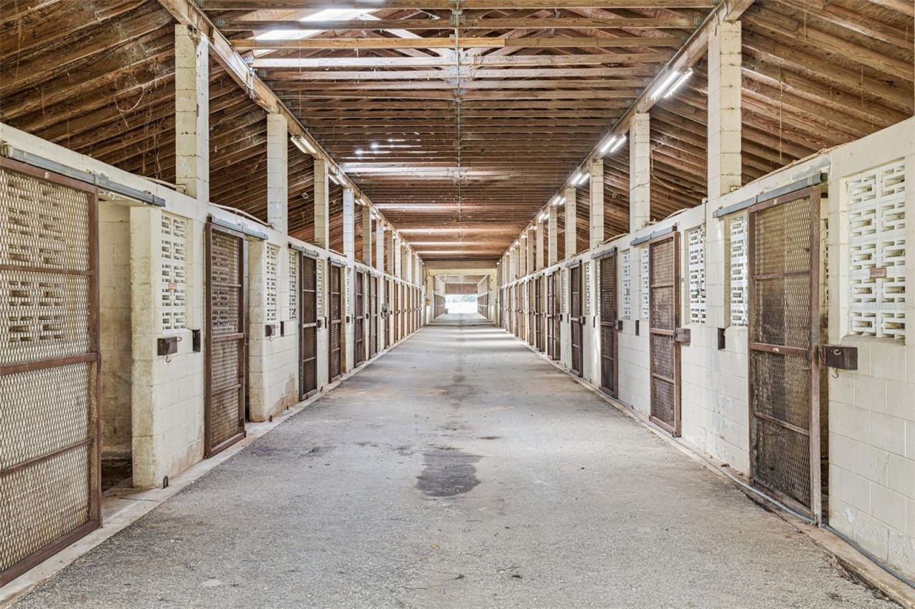 551 NE 200 Avenue, Williston, FL 32696 Photo