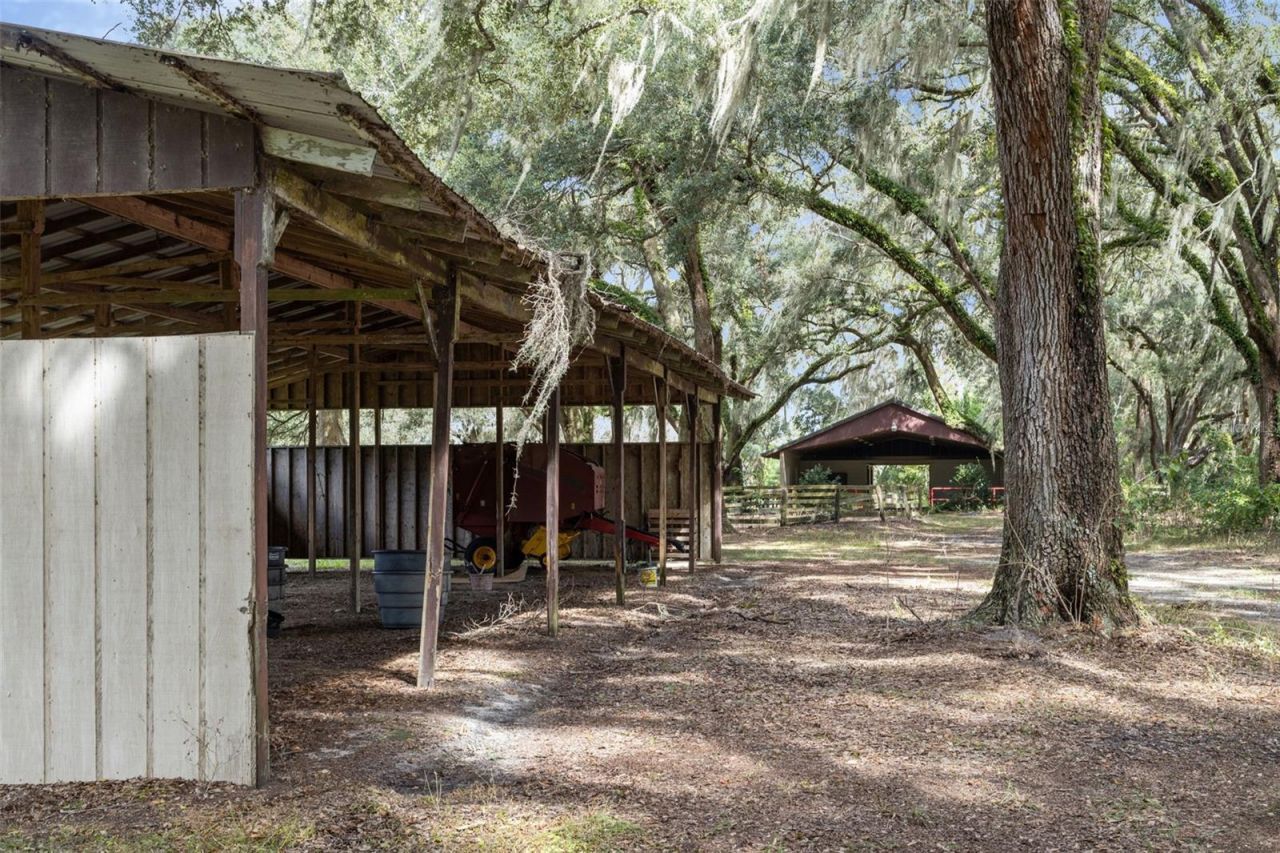 551 NE 200 Avenue, Williston, FL 32696 Photo