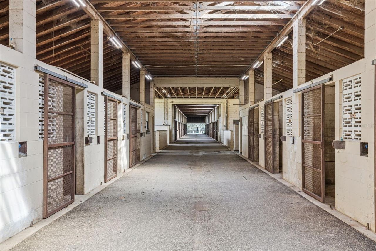 551 NE 200 Avenue, Williston, FL 32696 Photo