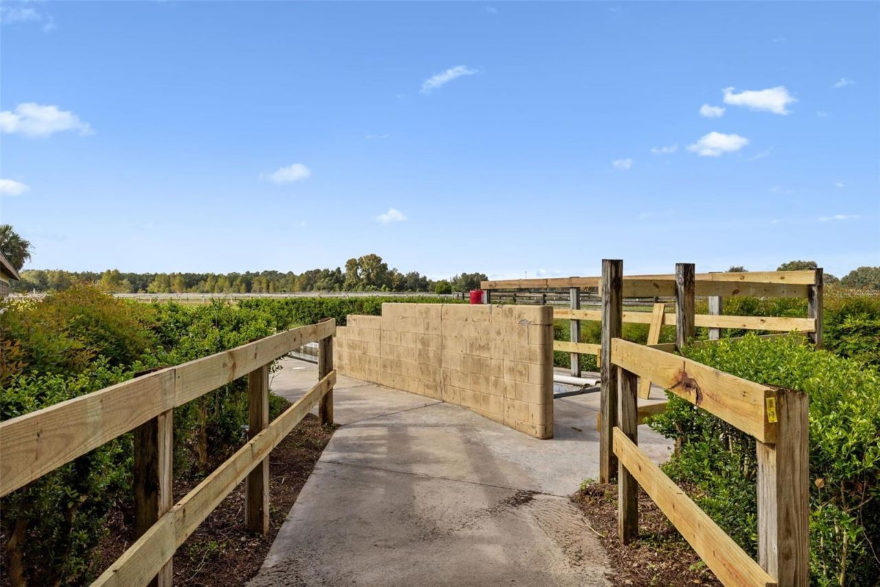 551 NE 200 Avenue, Williston, FL 32696 Photo