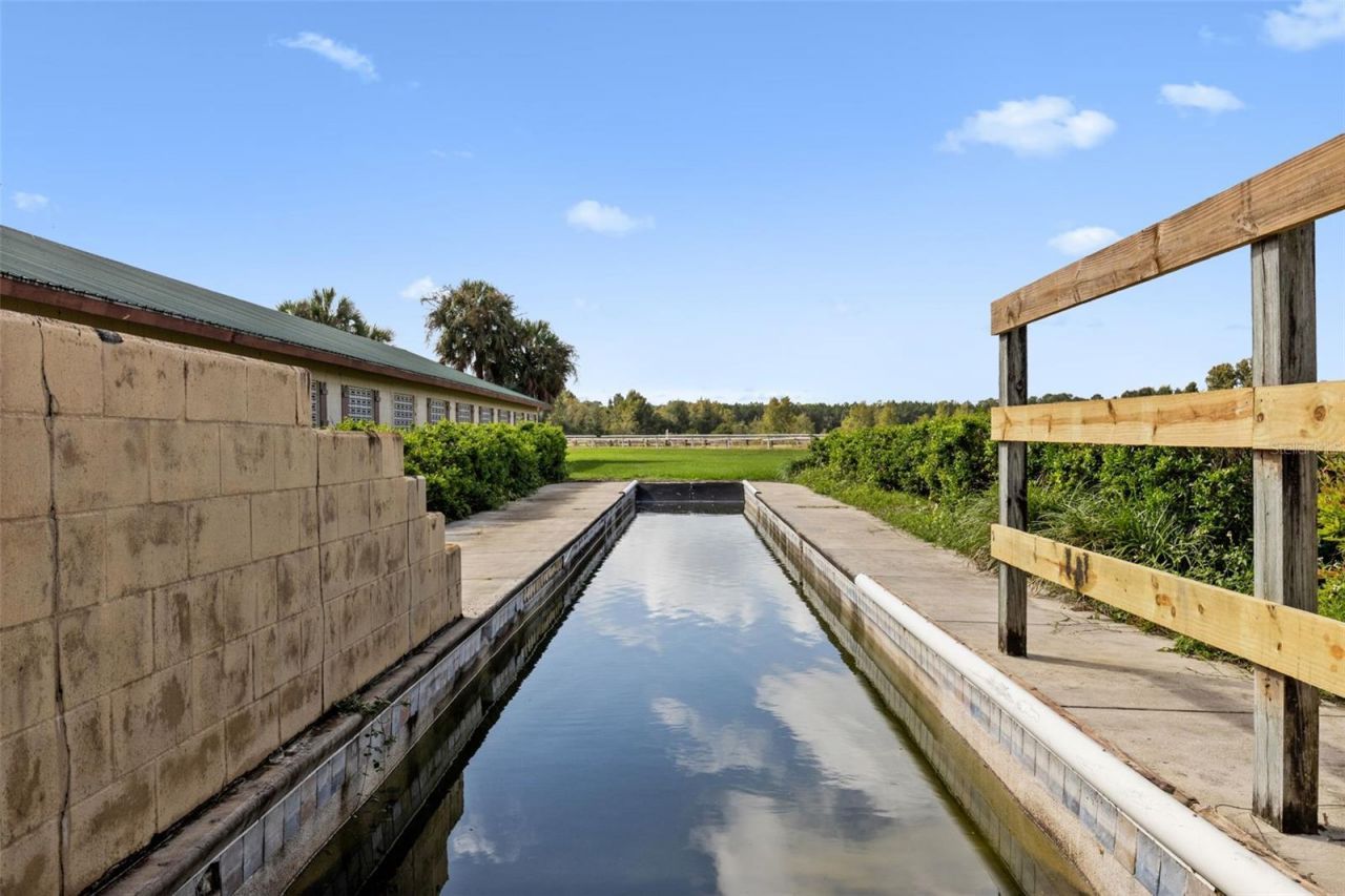 551 NE 200 Avenue, Williston, FL 32696 Photo