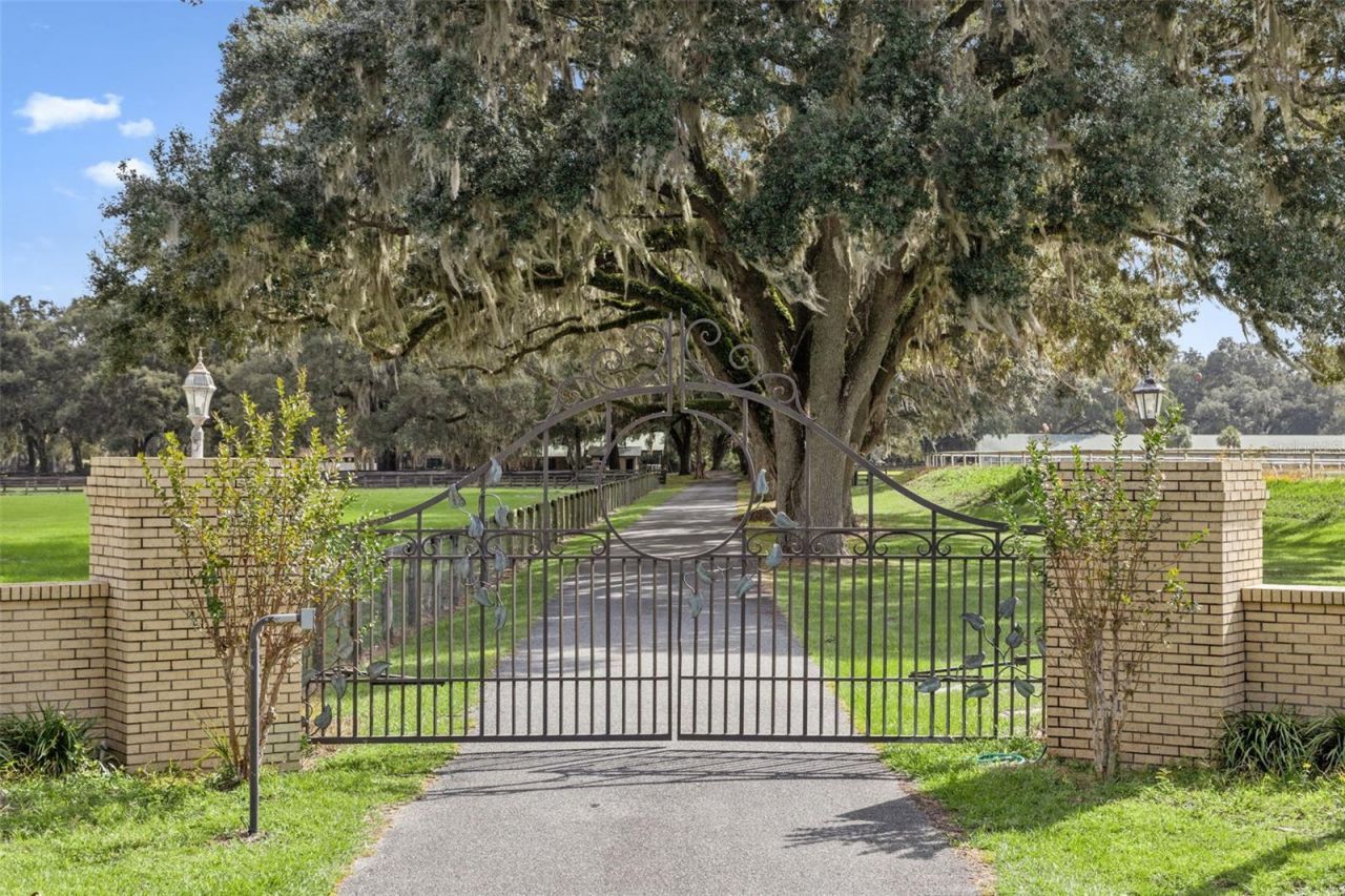 551 NE 200 Avenue, Williston, FL 32696 Photo