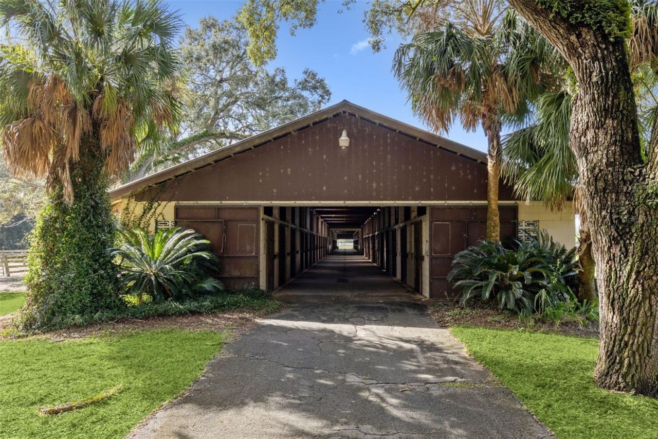 551 NE 200 Avenue, Williston, FL 32696 Photo