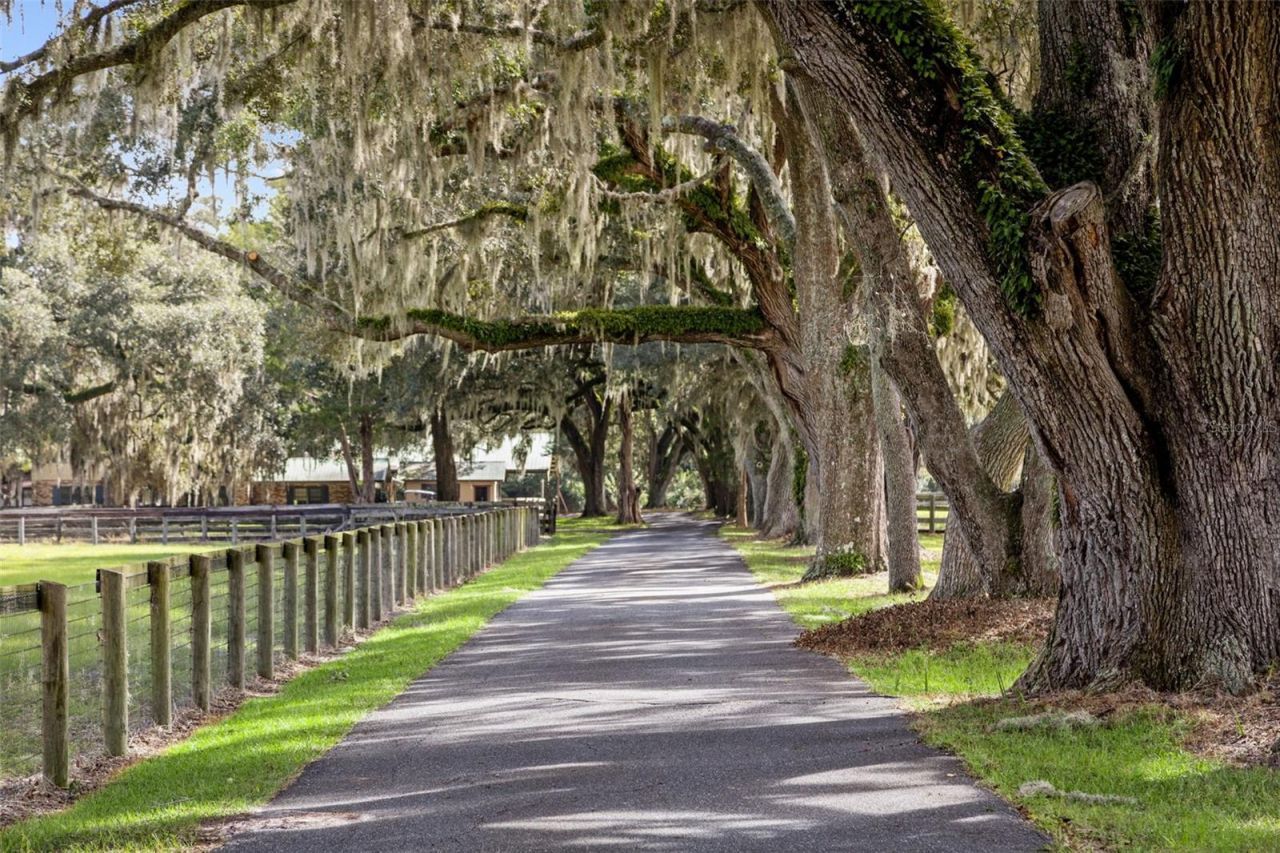 551 NE 200 Avenue, Williston, FL 32696 Photo