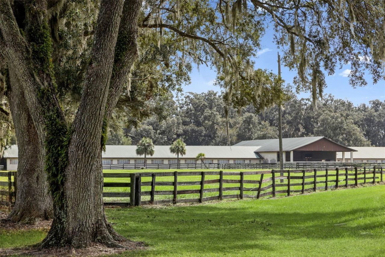 551 NE 200 Avenue, Williston, FL 32696 Photo