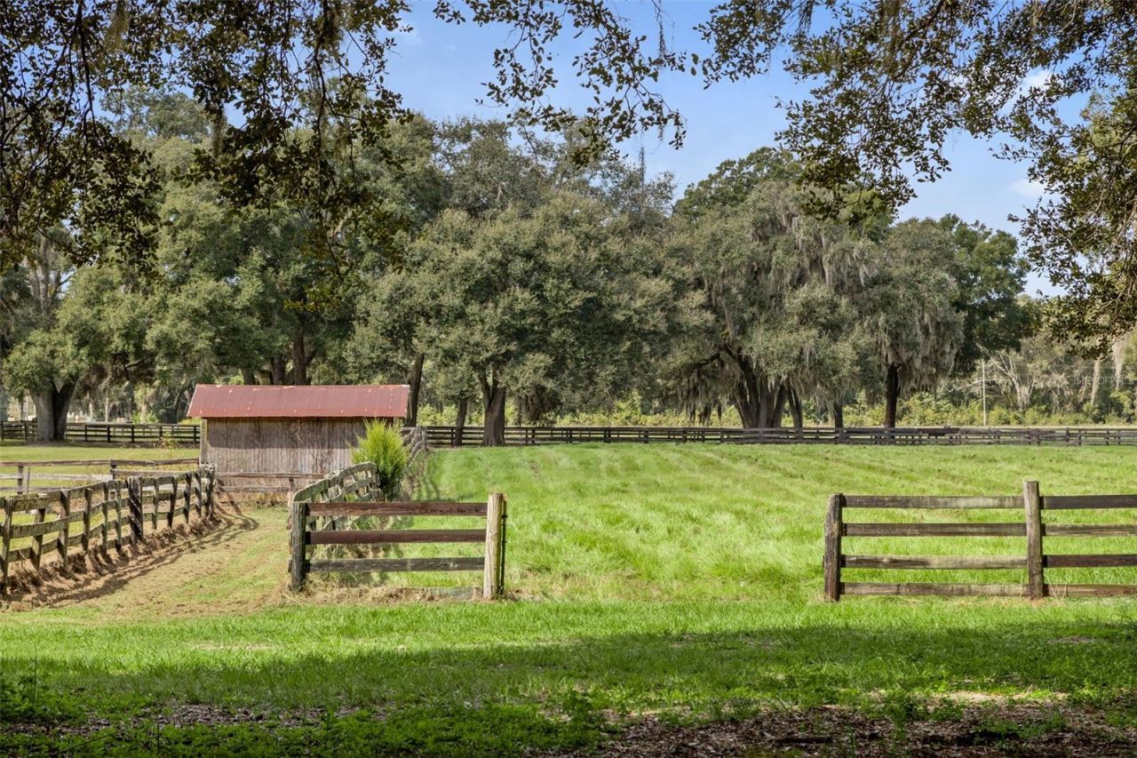 551 NE 200 Avenue, Williston, FL 32696 Photo