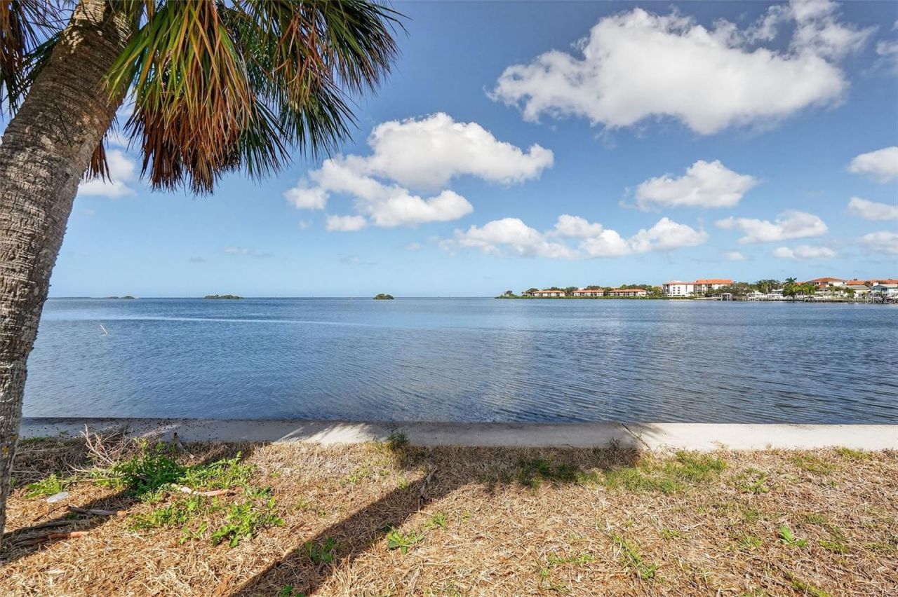 508 Driftwood Circle, Palm Harbor, FL 34683 Photo