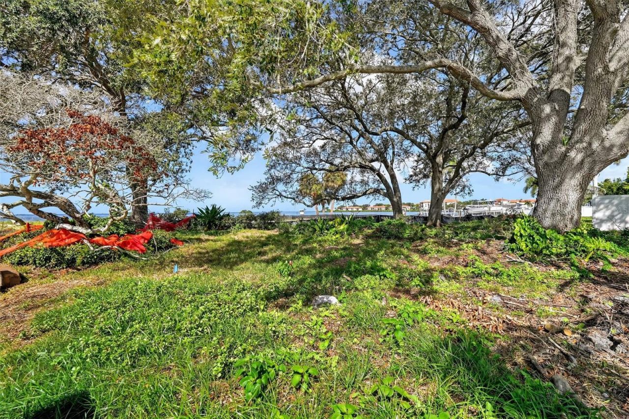 508 Driftwood Circle, Palm Harbor, FL 34683 Photo