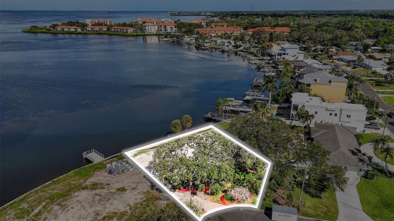 508 Driftwood Circle, Palm Harbor, FL 34683 Photo