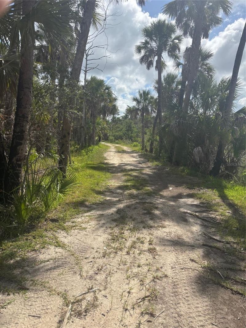 3217 Shine Lane, Spring Hill, FL 34607 Photo