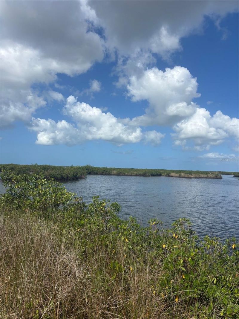 3217 Shine Lane, Spring Hill, FL 34607 Photo