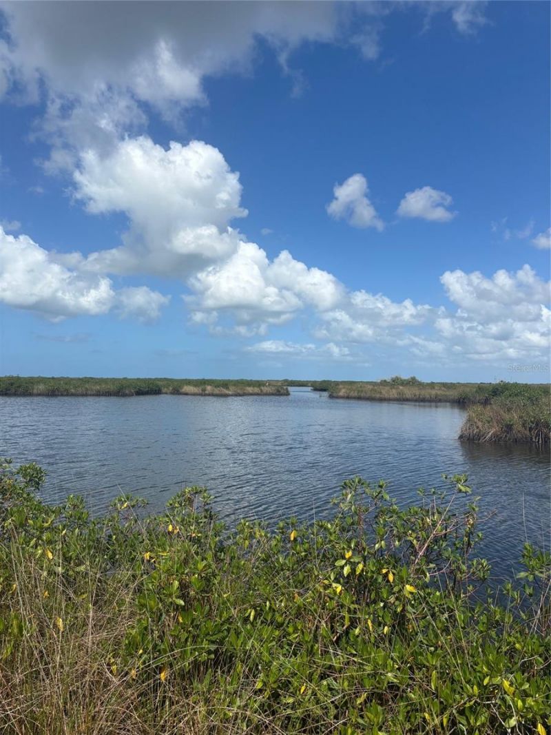 3217 Shine Lane, Spring Hill, FL 34607 Photo