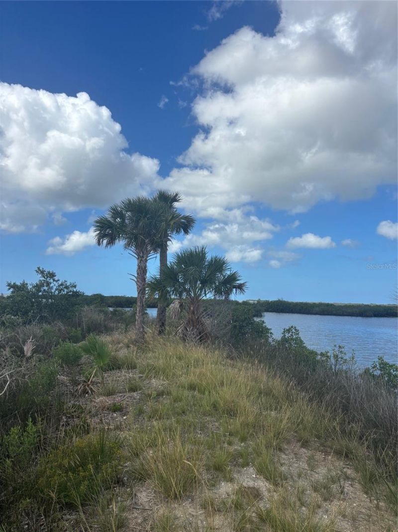 3217 Shine Lane, Spring Hill, FL 34607 Photo