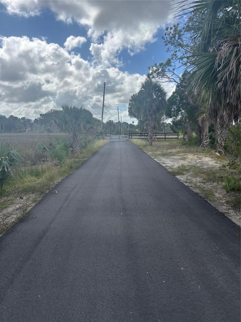 3217 Shine Lane, Spring Hill, FL 34607 Photo