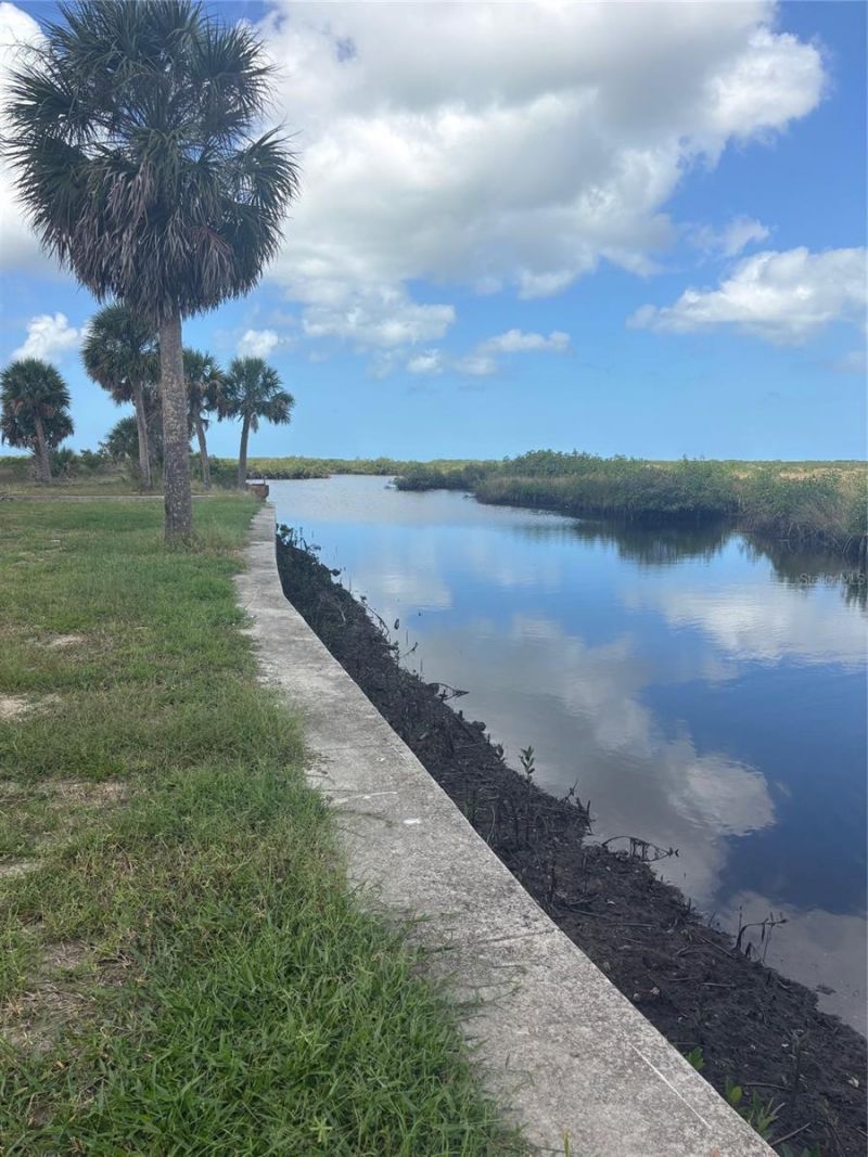 3217 Shine Lane, Spring Hill, FL 34607 Photo