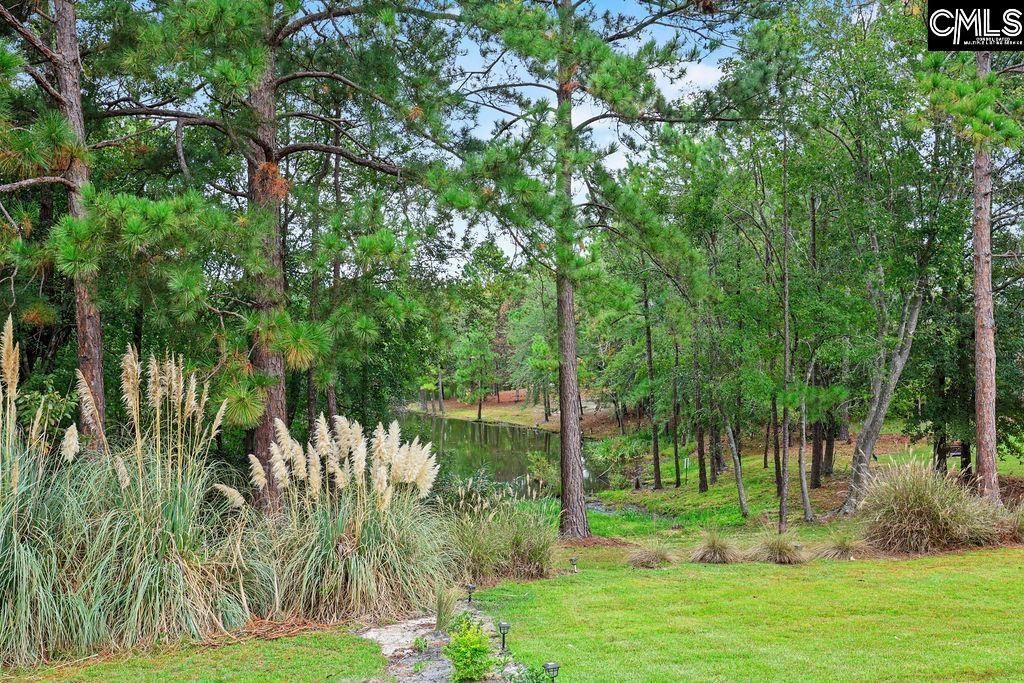 849 Heartleaf Drive Photo 30