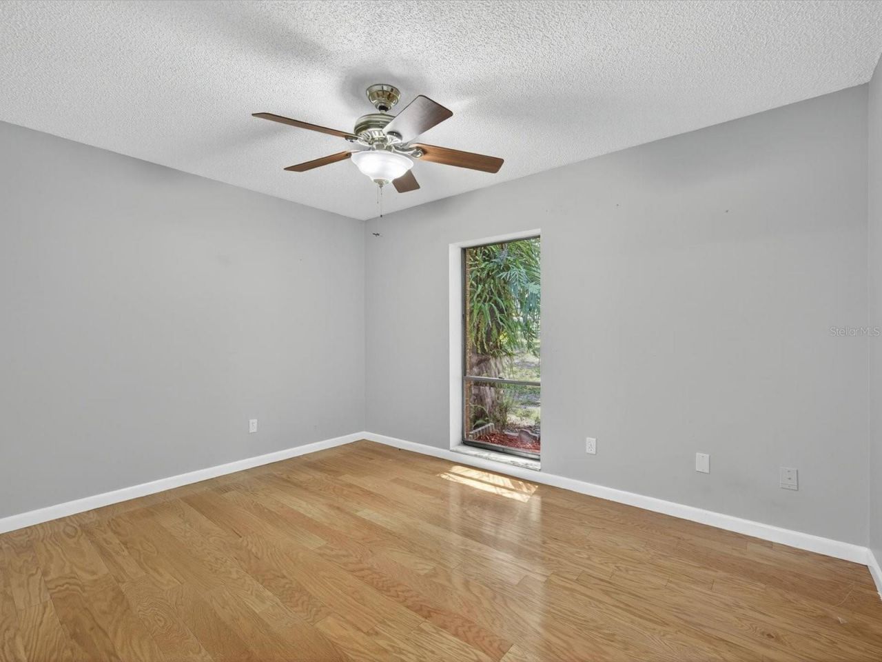 12120 Elbert Street, Clermont, FL 34711 Photo