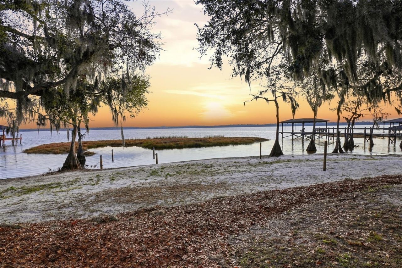 12120 Elbert Street, Clermont, FL 34711 Photo