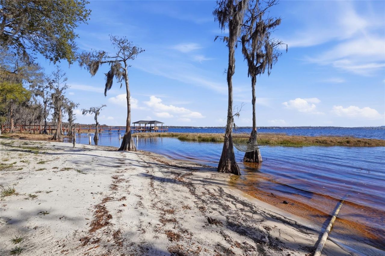 12120 Elbert Street, Clermont, FL 34711 Photo