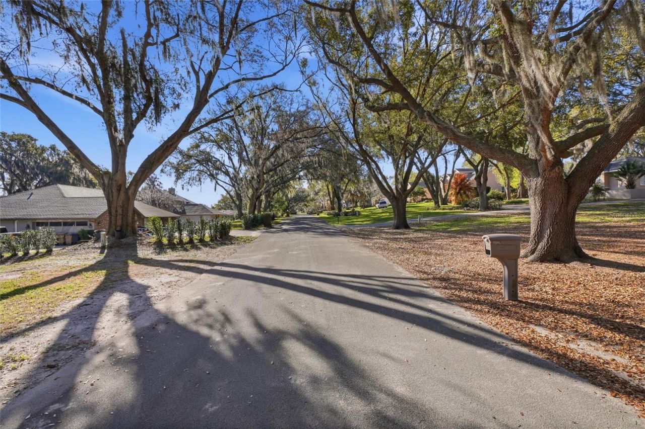 12120 Elbert Street, Clermont, FL 34711 Photo