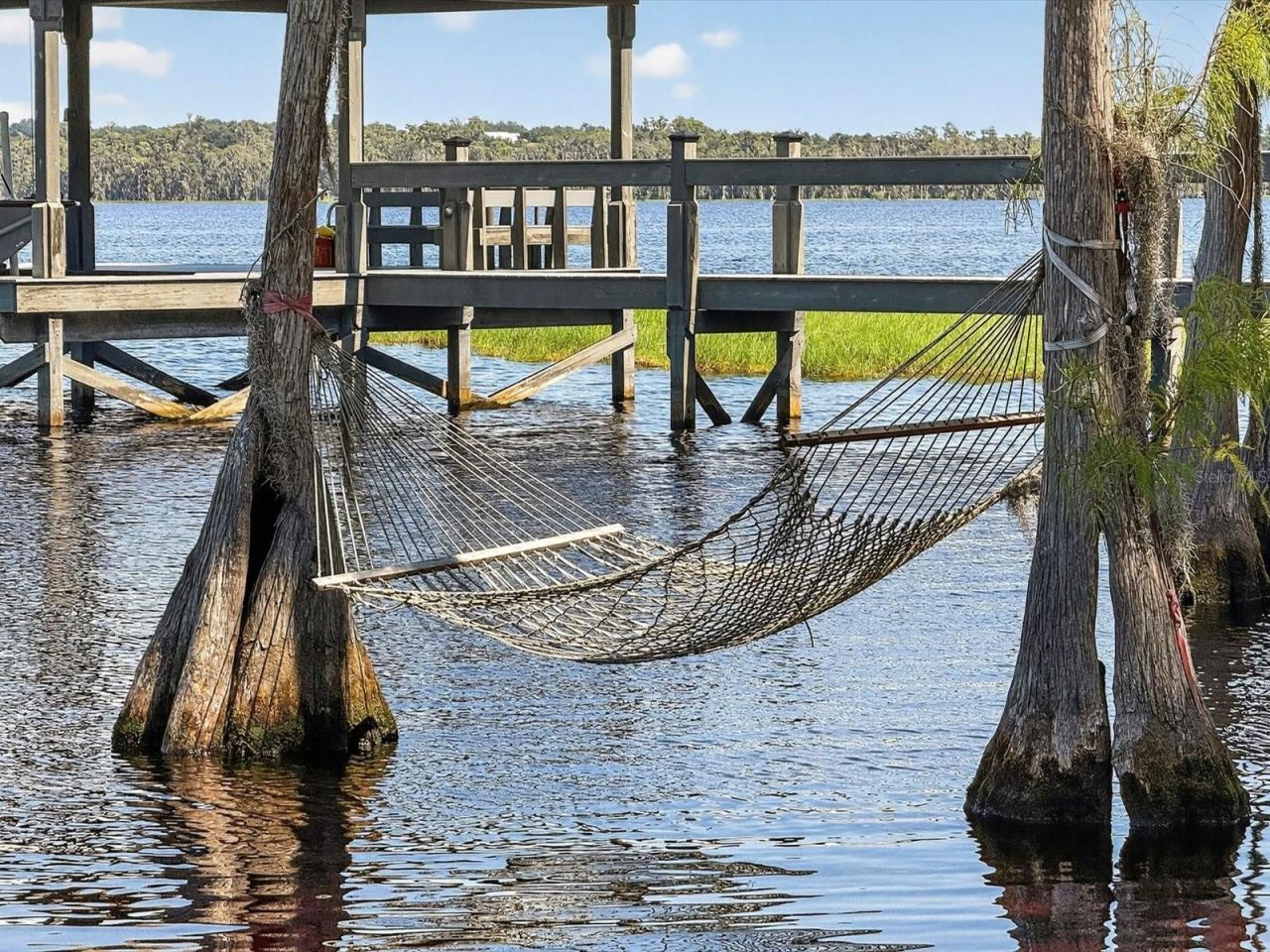 12120 Elbert Street, Clermont, FL 34711 Photo