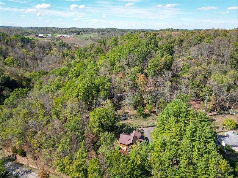 1932 County Road 36, Bloomingdale, OH 43910 Photo 6