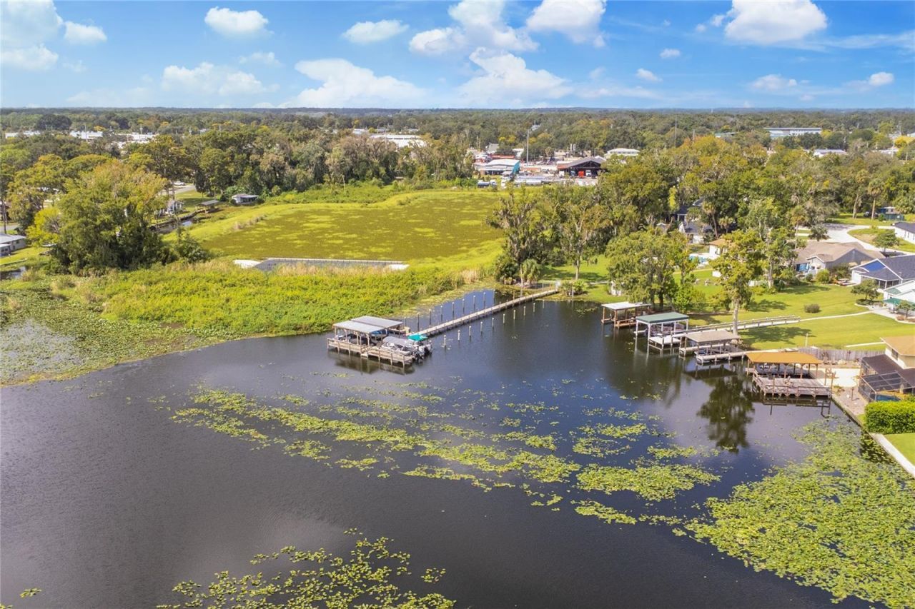 947 Belle Oak Drive, Leesburg, FL 34748 Photo