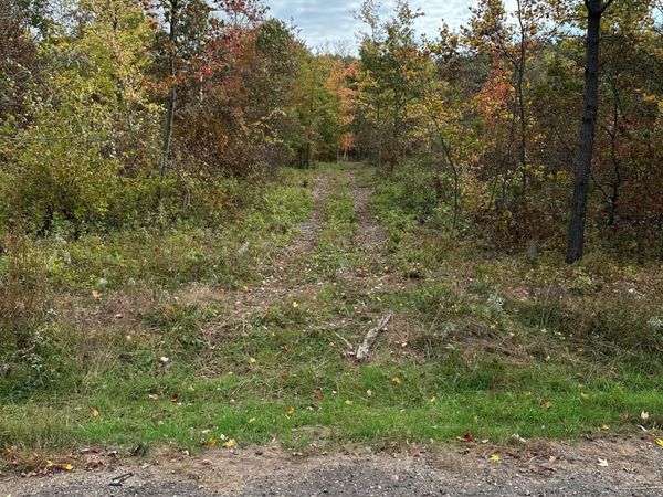 TBD 810th Street, Sand Creek, WI 54757