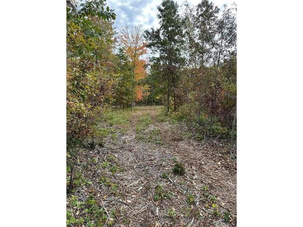 TBD 810th Street, Sand Creek, WI 54757