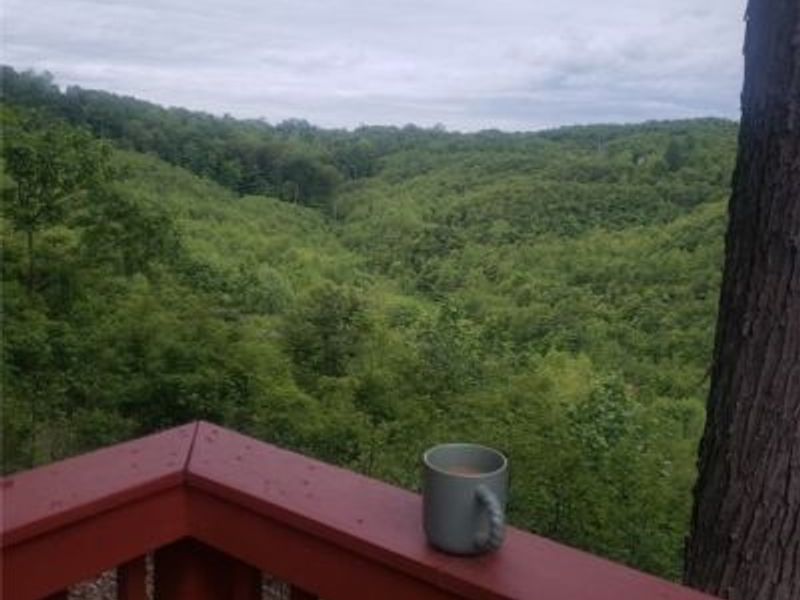 705 Sparks Ridge Road, Newport, OH 45768 Photo 11