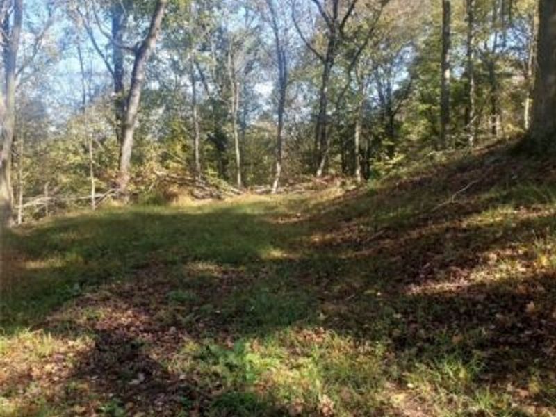 705 Sparks Ridge Road, Newport, OH 45768 Photo 16