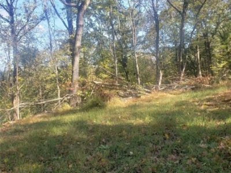 705 Sparks Ridge Road, Newport, OH 45768 Photo 17