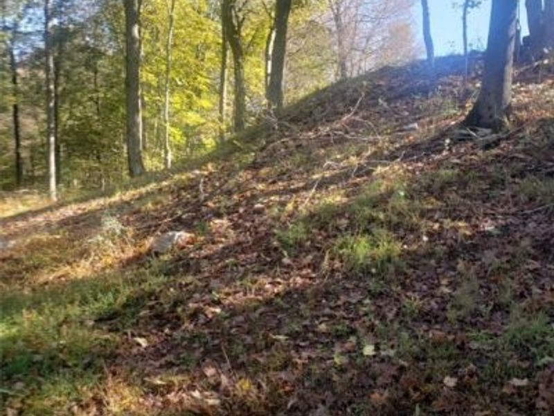 705 Sparks Ridge Road, Newport, OH 45768 Photo 18