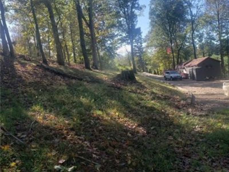 705 Sparks Ridge Road, Newport, OH 45768 Photo 20