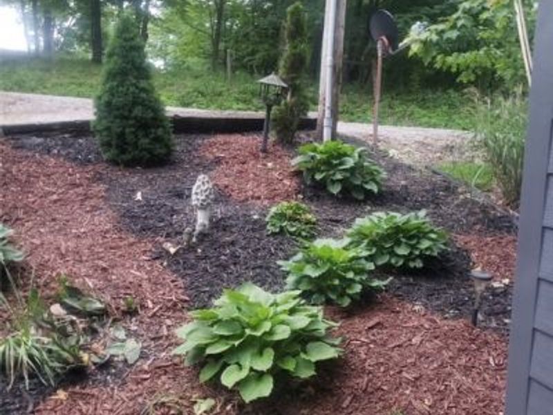 705 Sparks Ridge Road, Newport, OH 45768 Photo 9