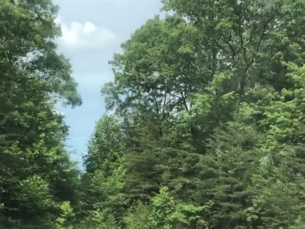 14 Clear Fork Drive, Jamestown, TN 38556