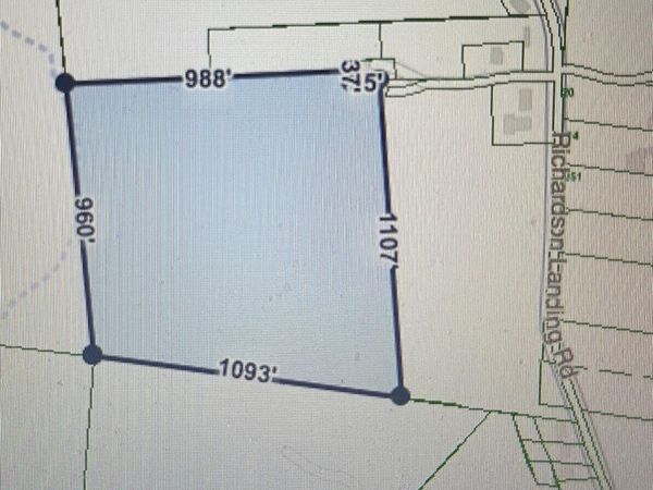 0 RICHARDSON LANDING RD, Drummonds, TN 38023