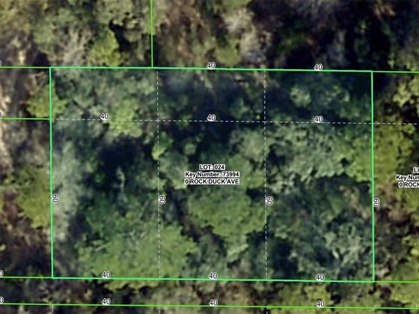 ROCK DUCK AVENUE, BROOKSVILLE, FL 34614